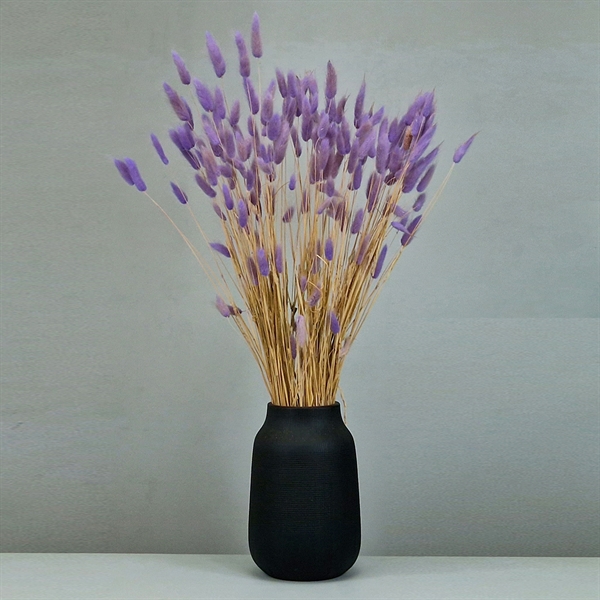 Tørrede Blomster - Lagurus, Lilac XL Bundt