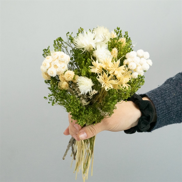 Tørrede blomsterbuket - Small Green - Louise