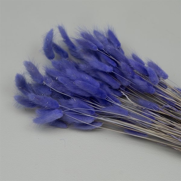 Tørrede Blomster - Lagurus, Lilac XL bundt