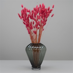 Tørrede Blomster - Lagurus - Magenta - XL bundt